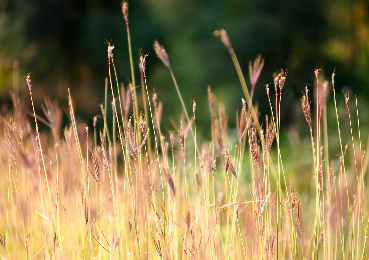 铁盒铁塔猫奶油爆珠：上海企业注册代理的程序