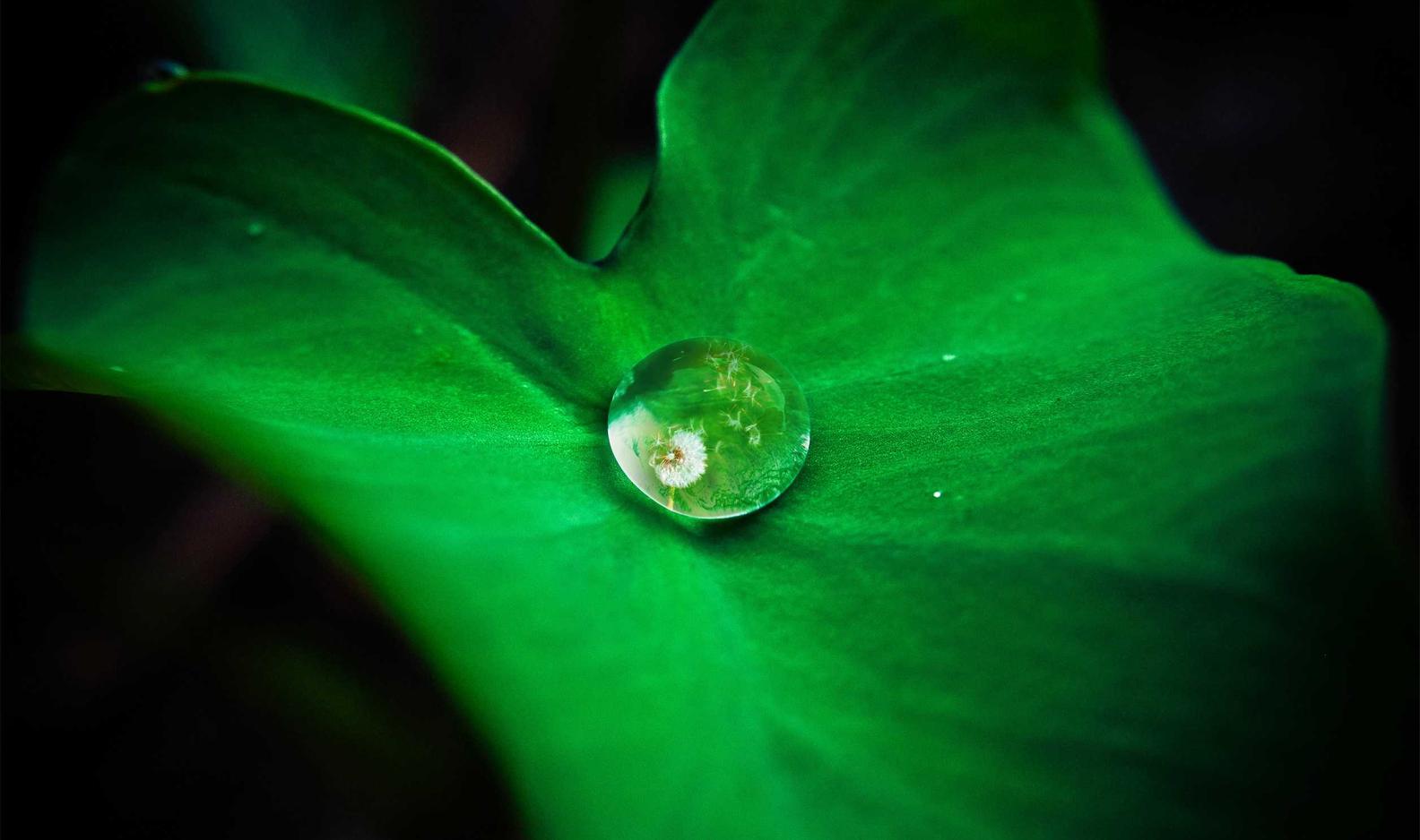 临沂交通广播app详情下载教程