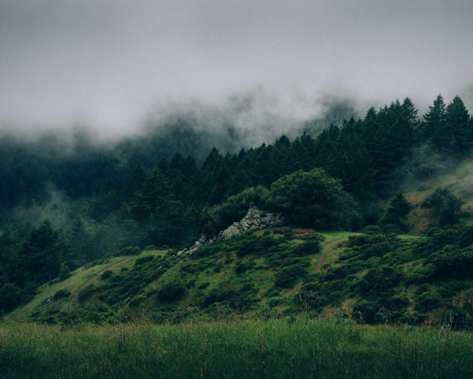 乐语通讯实名账号：青浦公司注册代理价格