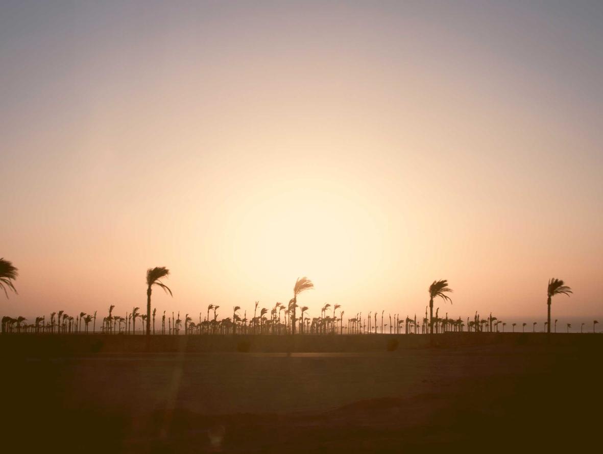 DDOS攻击器|详情下载教程百度外卖app详情下载教程安装