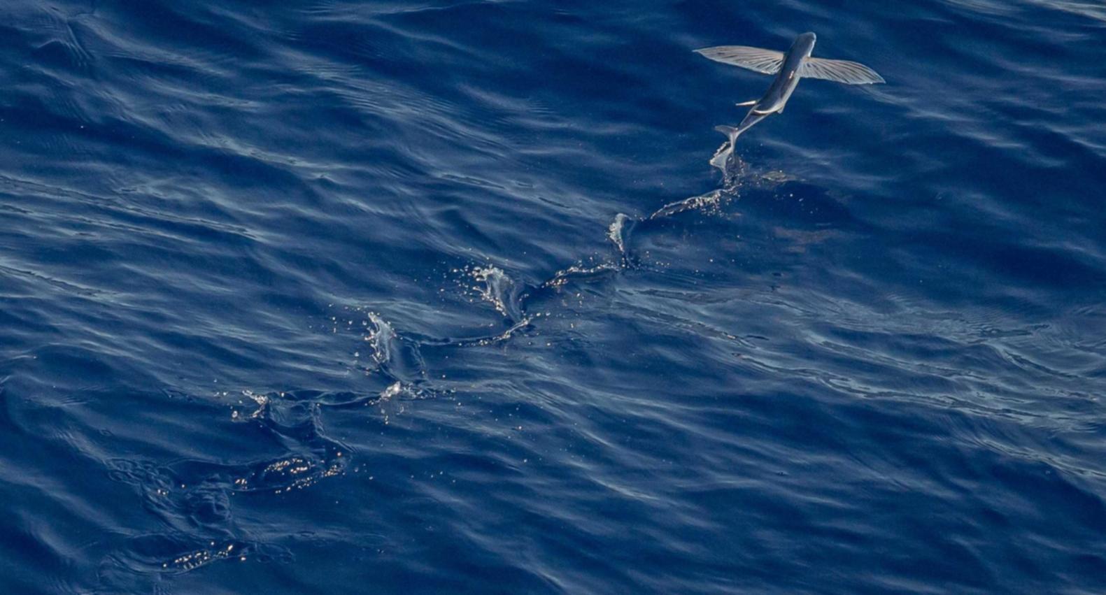 方盒万宝路草莓双爆珠：太原公司代理注册公司