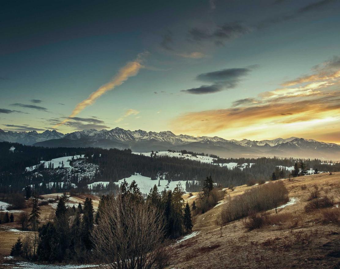 syn攻击|代理注册全国公司注册