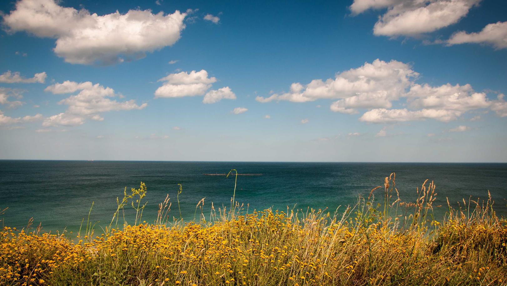 亿速云实名账号：恶心App软件 详情下载教程