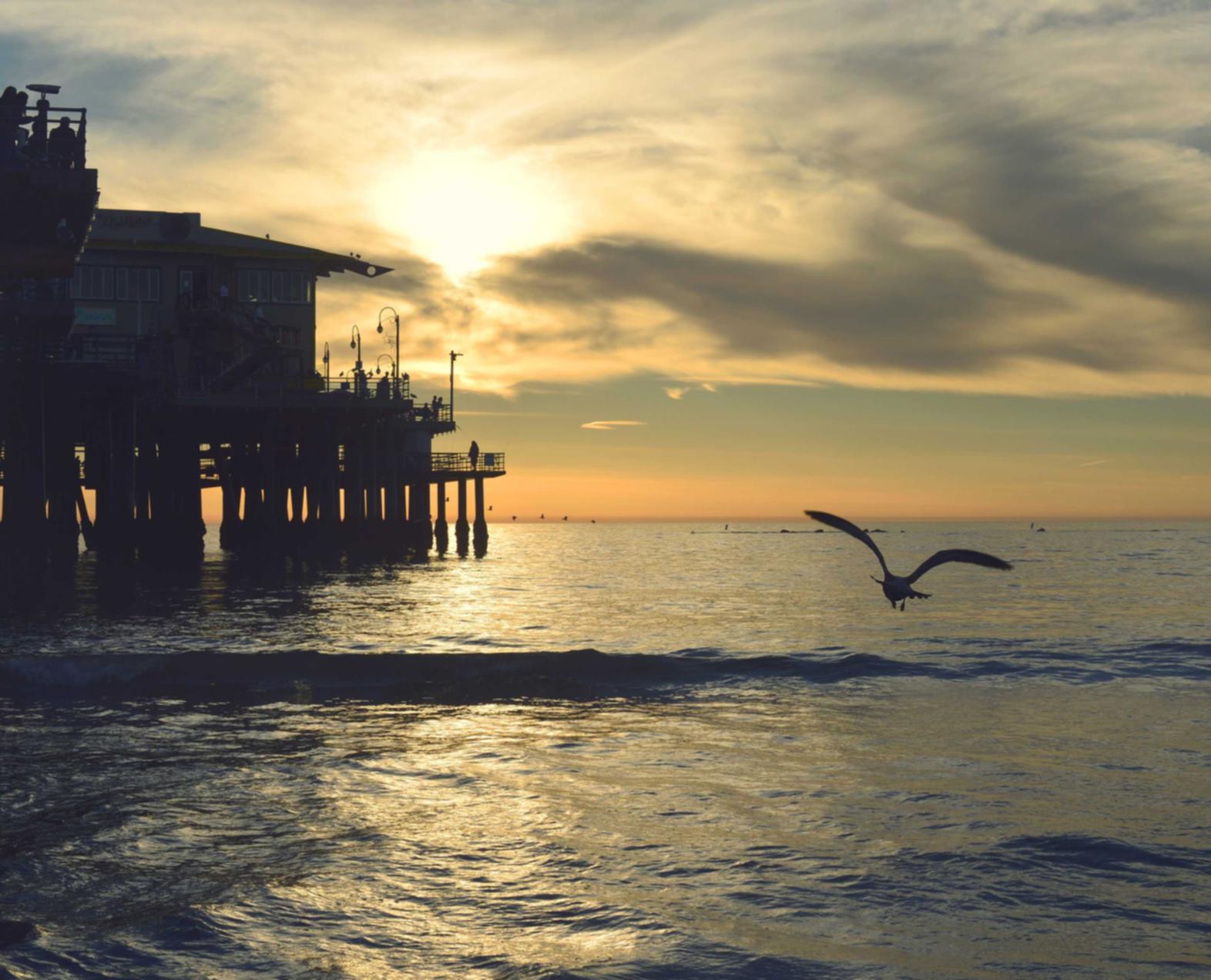 爱喜芒果冰淇淋爆珠：温州小规模代理记账注册