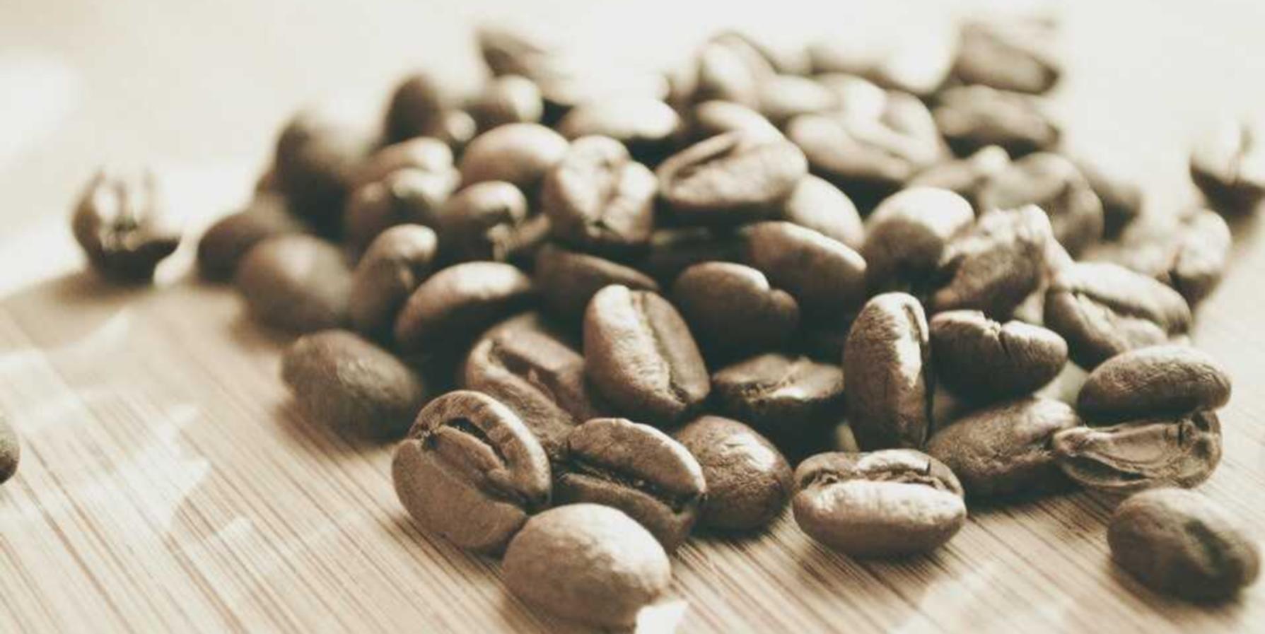 梦幻新诛仙国际服代理平台