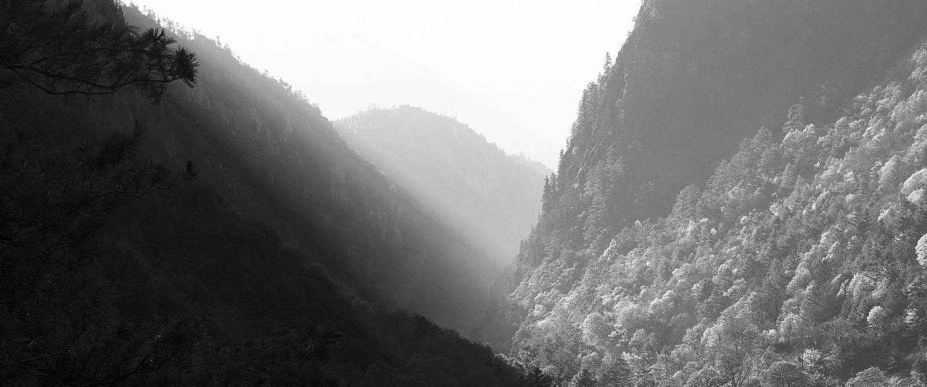 买卖VX号：送什么礼物APP详情下载教程