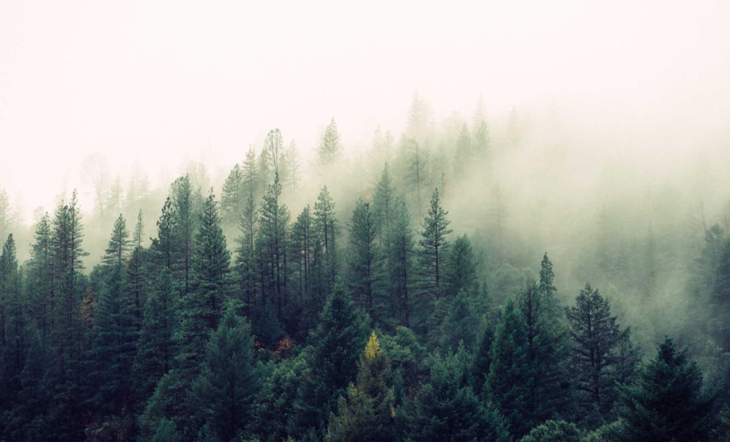 用邮箱能不能注册抖音账号