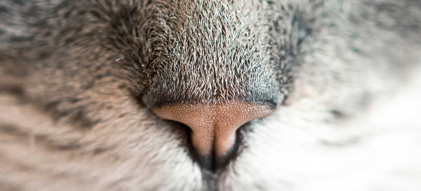 网络安全之道全面应对ddos流量攻击软件的挑战