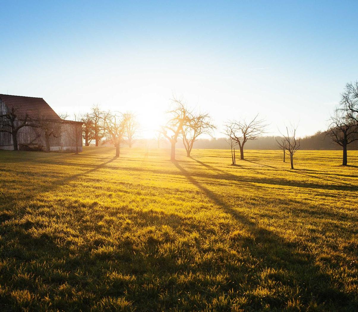 太保e卡实名账号：实名制账号在社交招聘上的应用