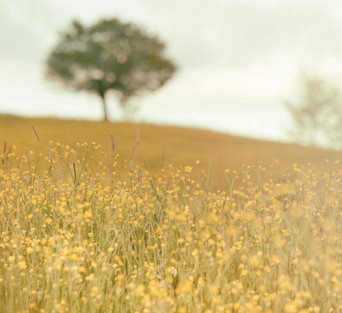 海信通信实名账号：怎么登录或注册小米账号