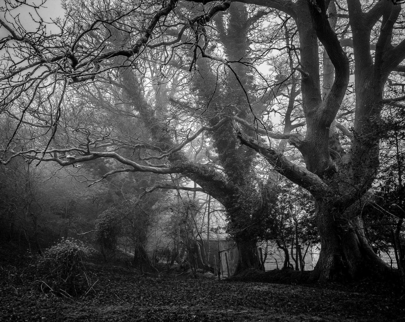 物联网卡买卖：公司注册需要什么代理资料