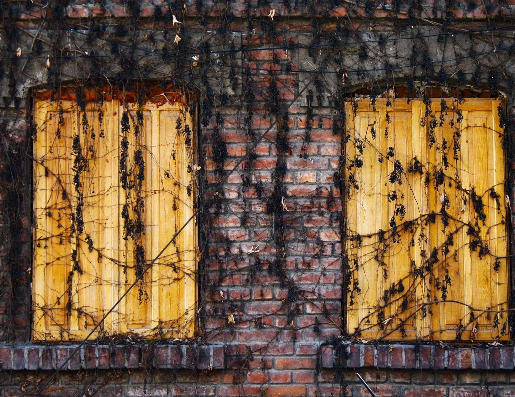 如何识别和识破作弊者？