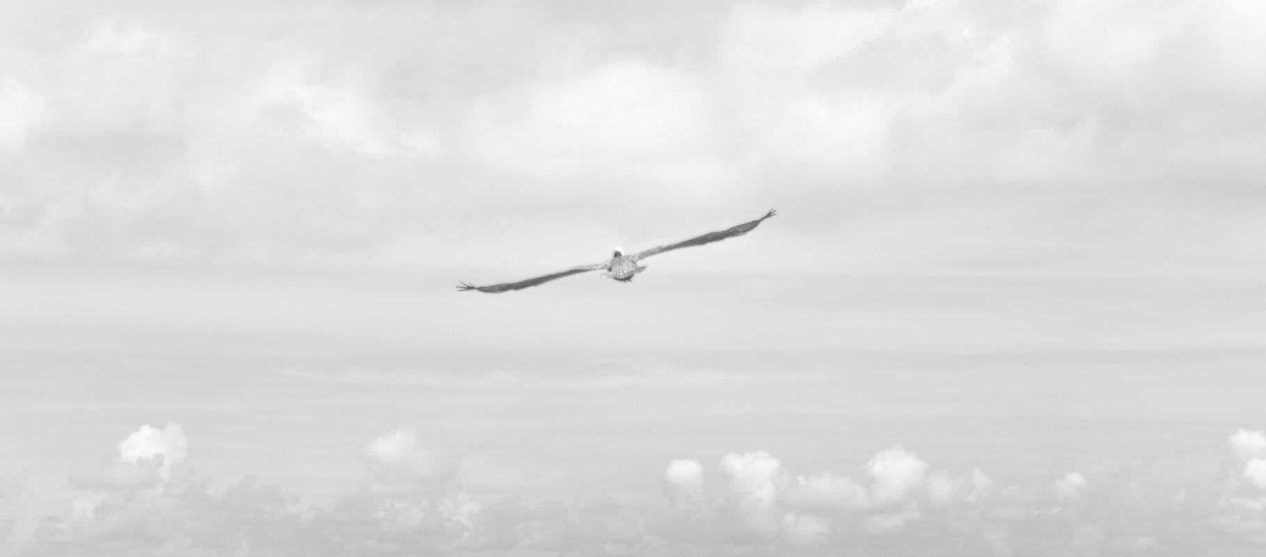 百纵科技实名账号：流量卡的科技布局：如何布局最新科技、如何推动科技发展等