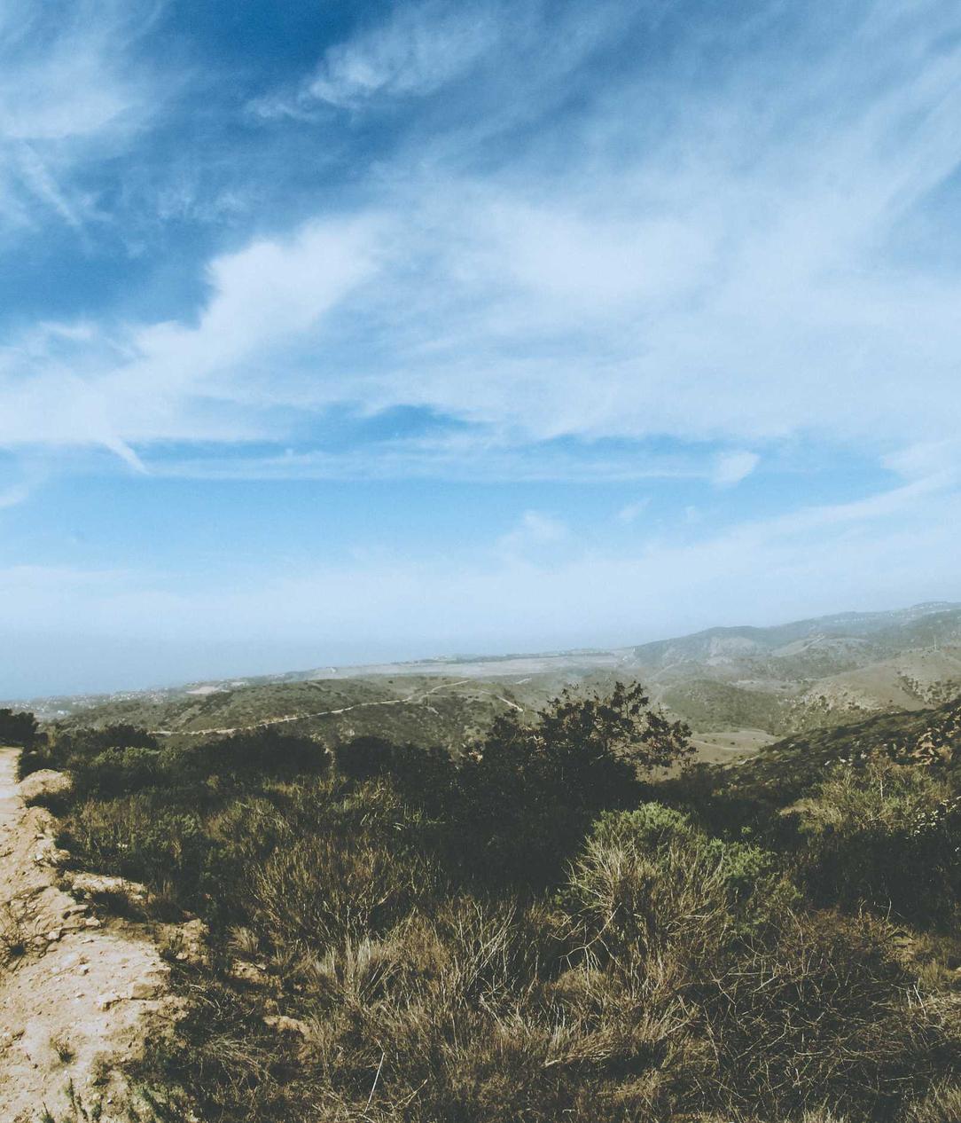 Bohem宝恒树叶爆珠：上海市代理注册