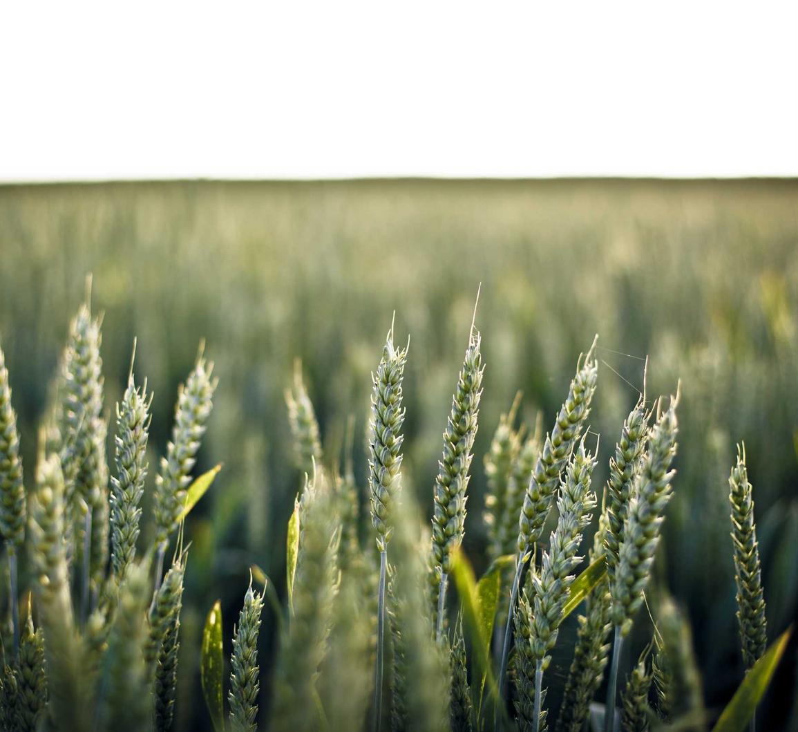 恒悦学生保险购买平台