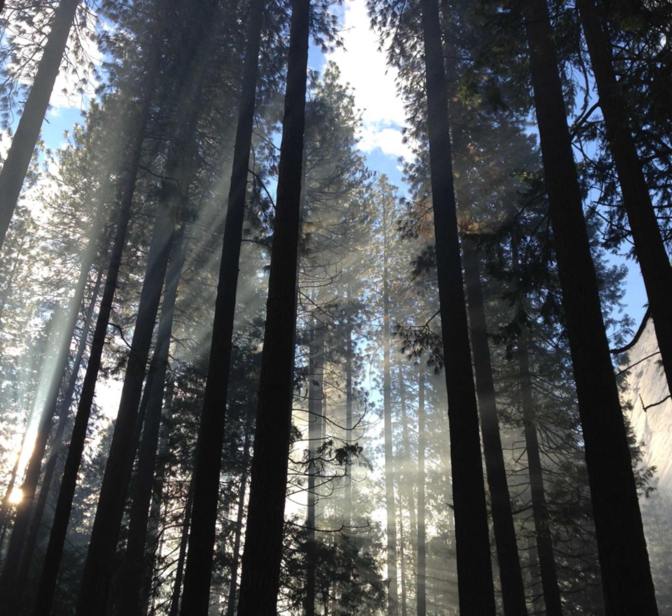 鄂州短信平台购买