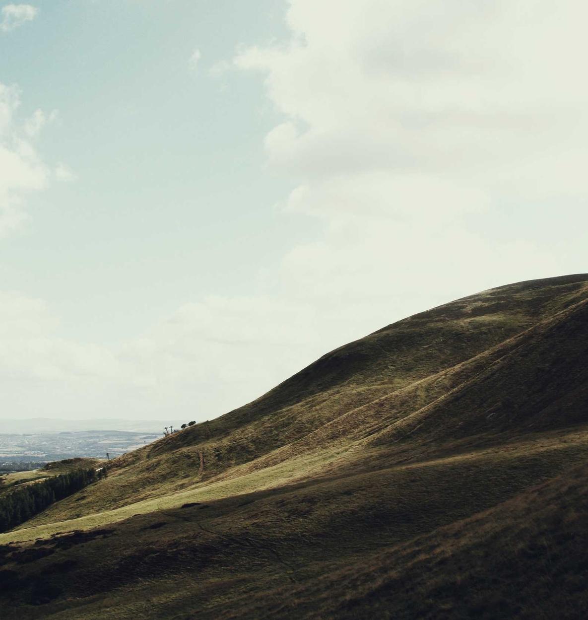 网上哪些平台可以购买药