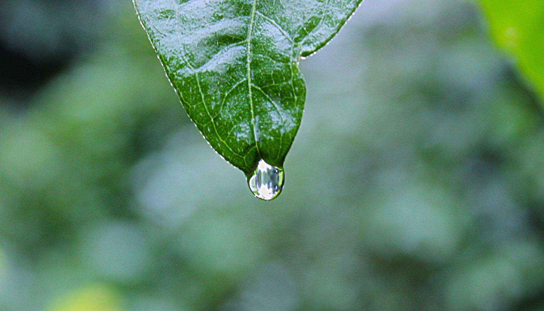 阿里云实名账号：app详情下载教程用指纹