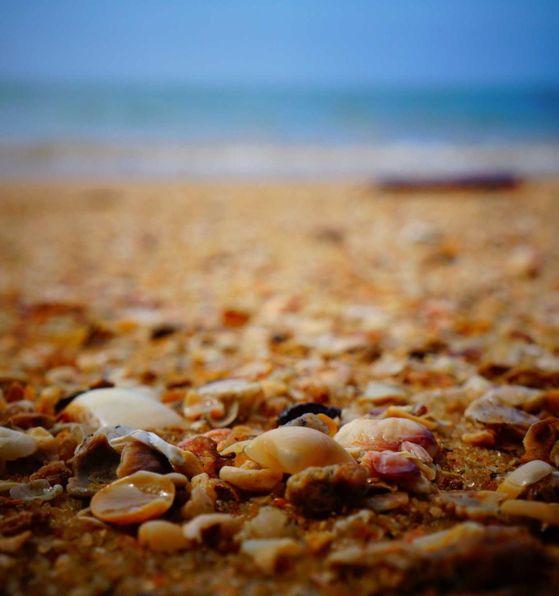 如何利用跨域链接进行SEO优化？