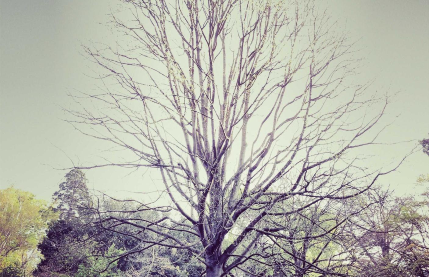 探探实名账号：宣城代理加盟平台