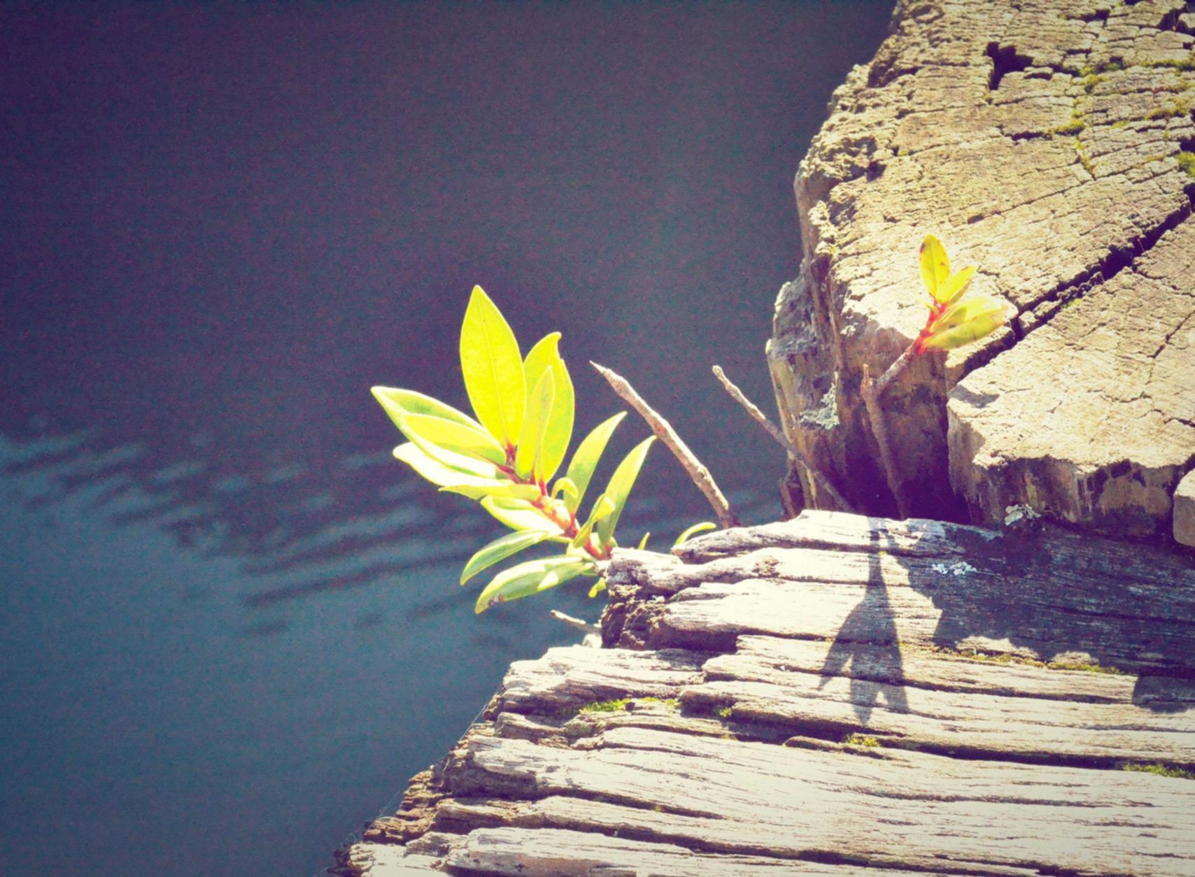 多途云实名账号：sitime平台购买记录