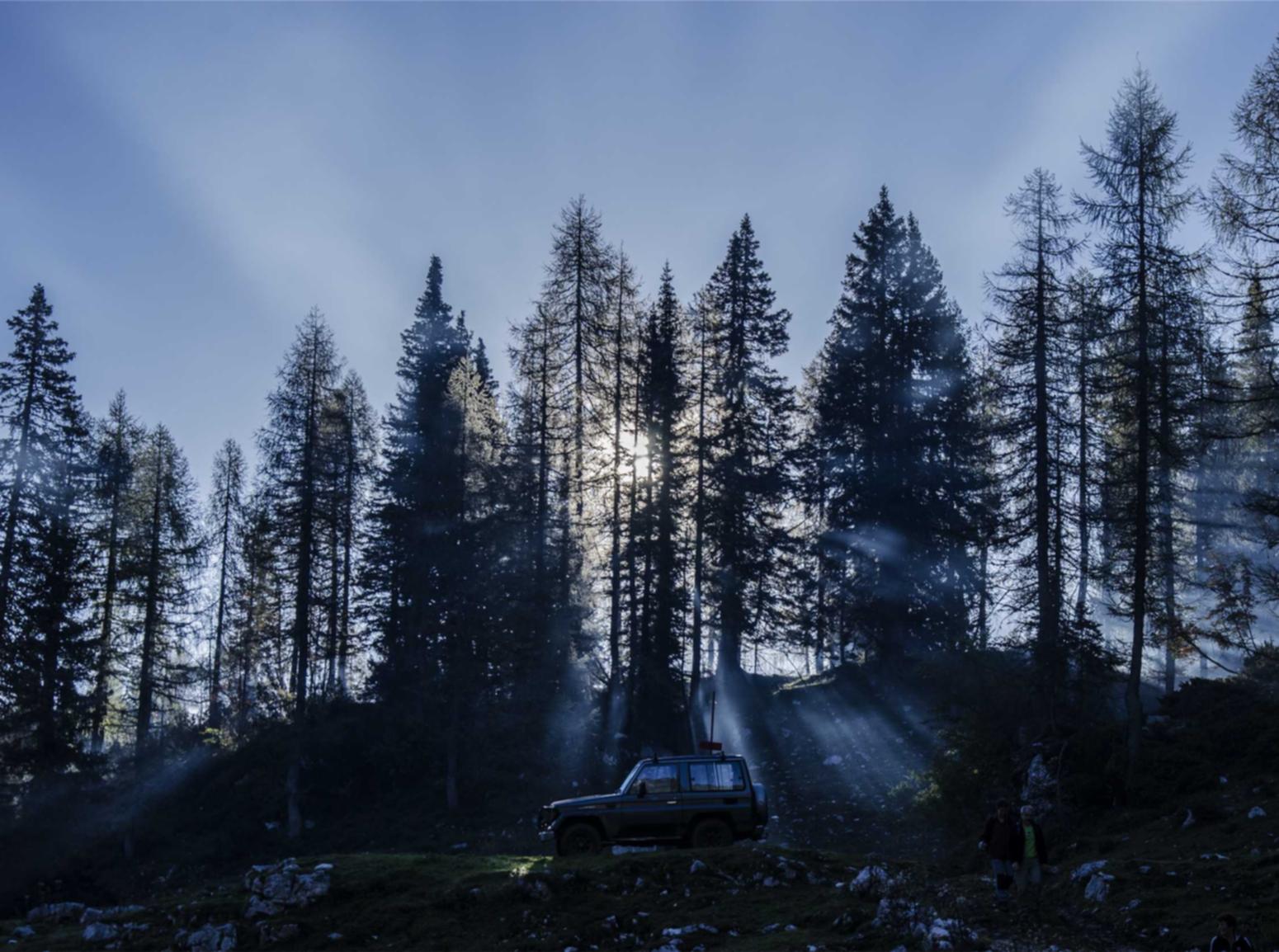 出各种微信号：特价商品平台包包代理