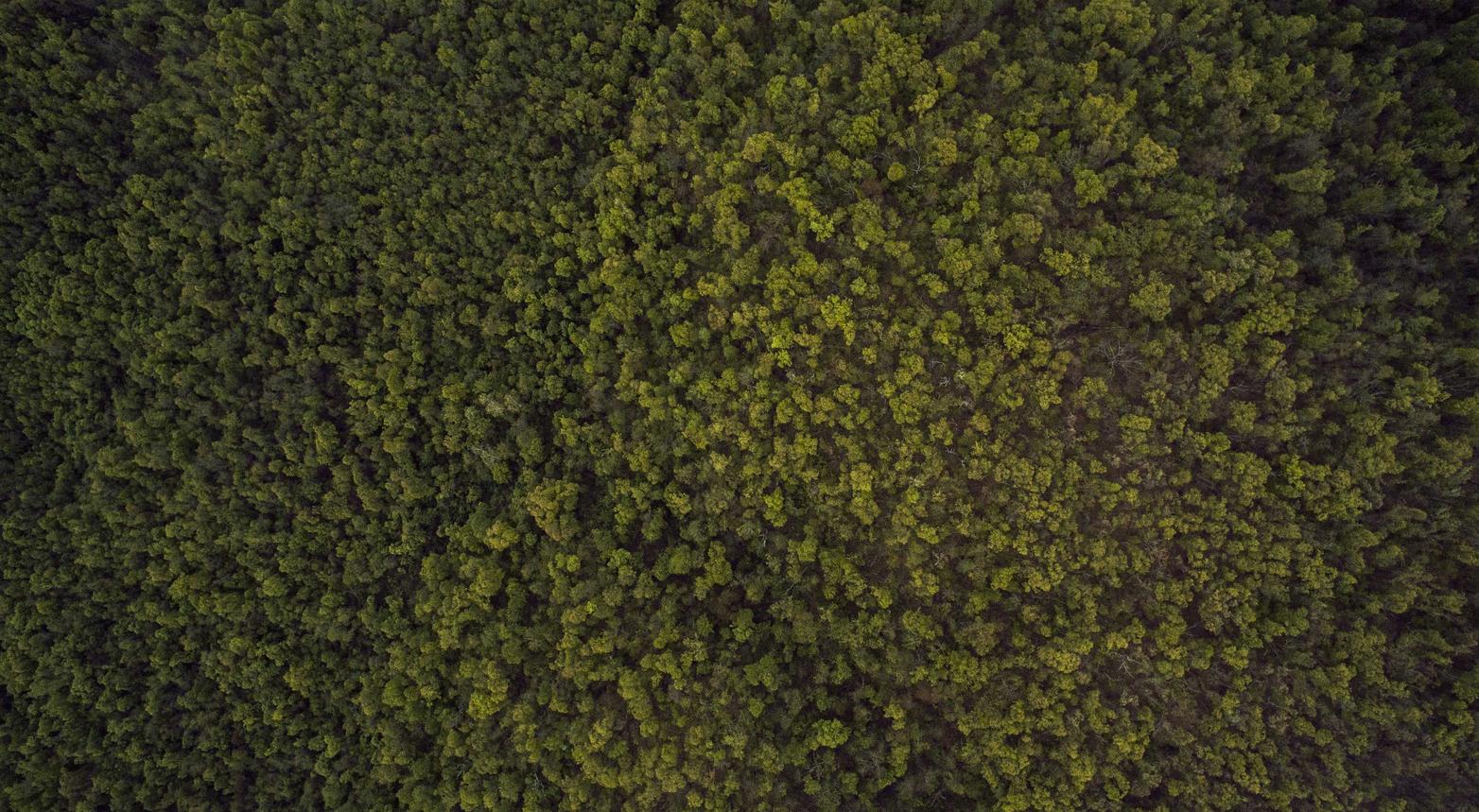 网站安全渗透：金铲铲账号可以重新注册吗