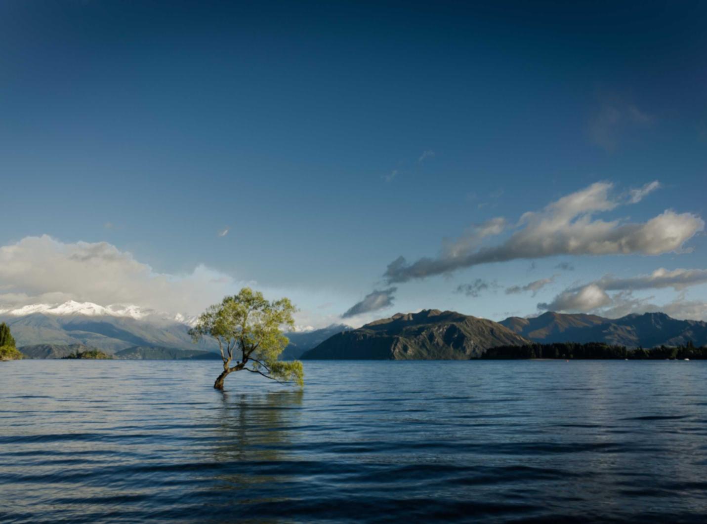 棋盘代理游戏平台