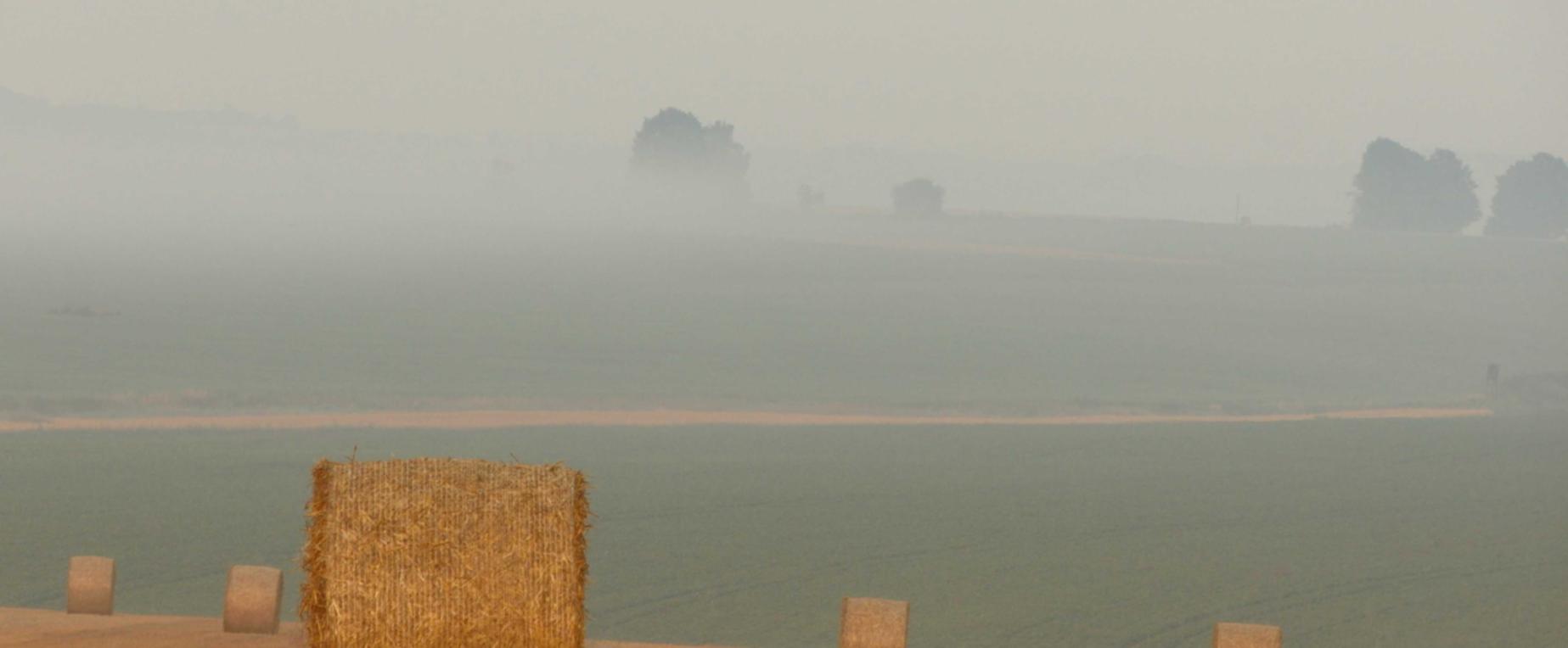 如何进行SEO交换链接