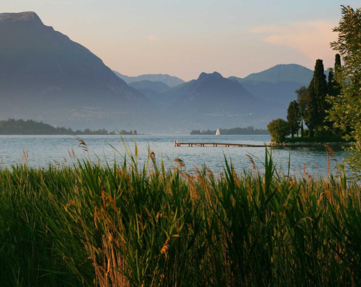 香烟成瘾：抽烟的危害和后果