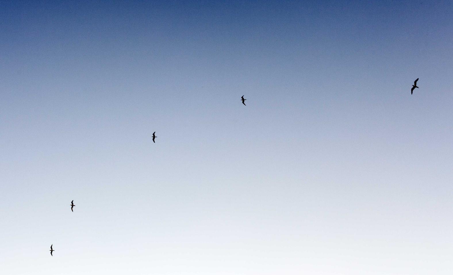 微信实名账号：海思官网注册账号是什么