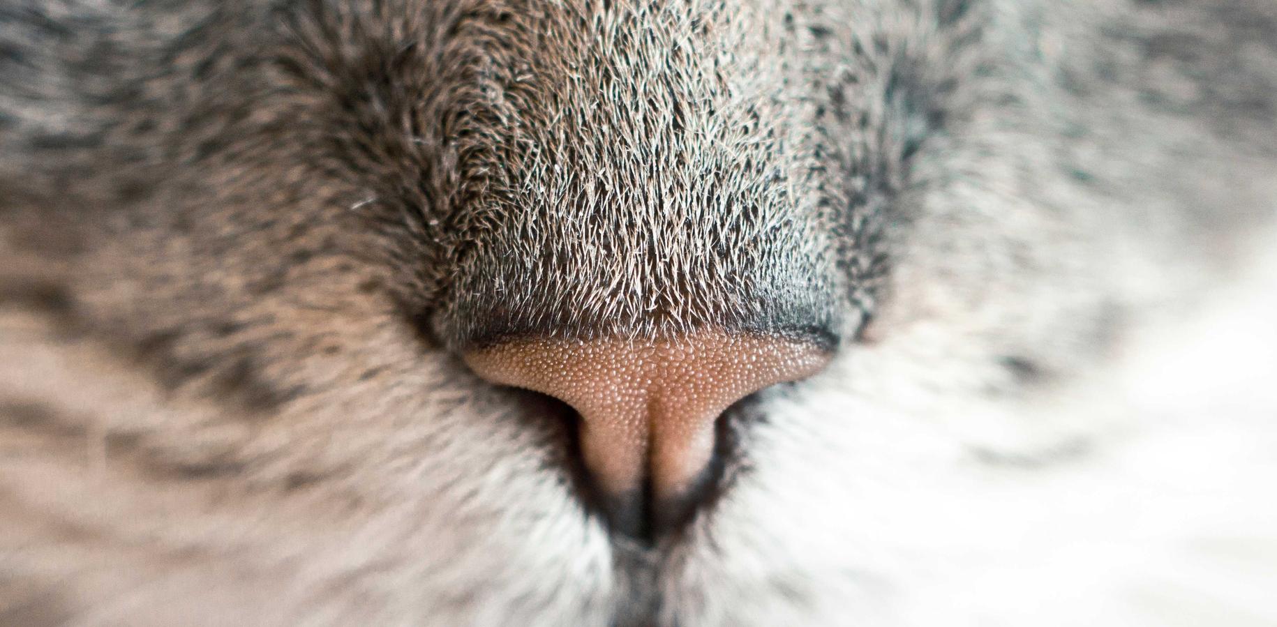 买卖VX号：陕西清香型白酒代理平台