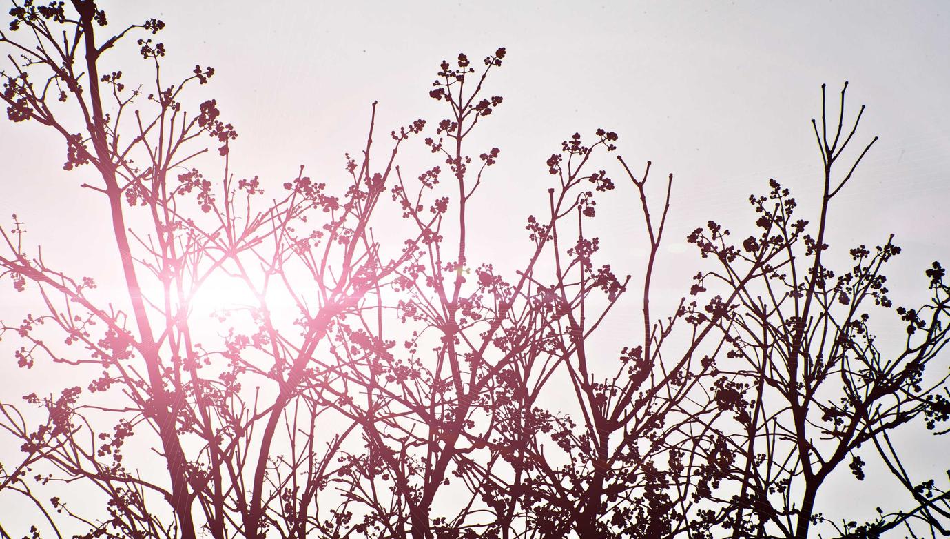 中期移动实名账号：快手直播账号购买