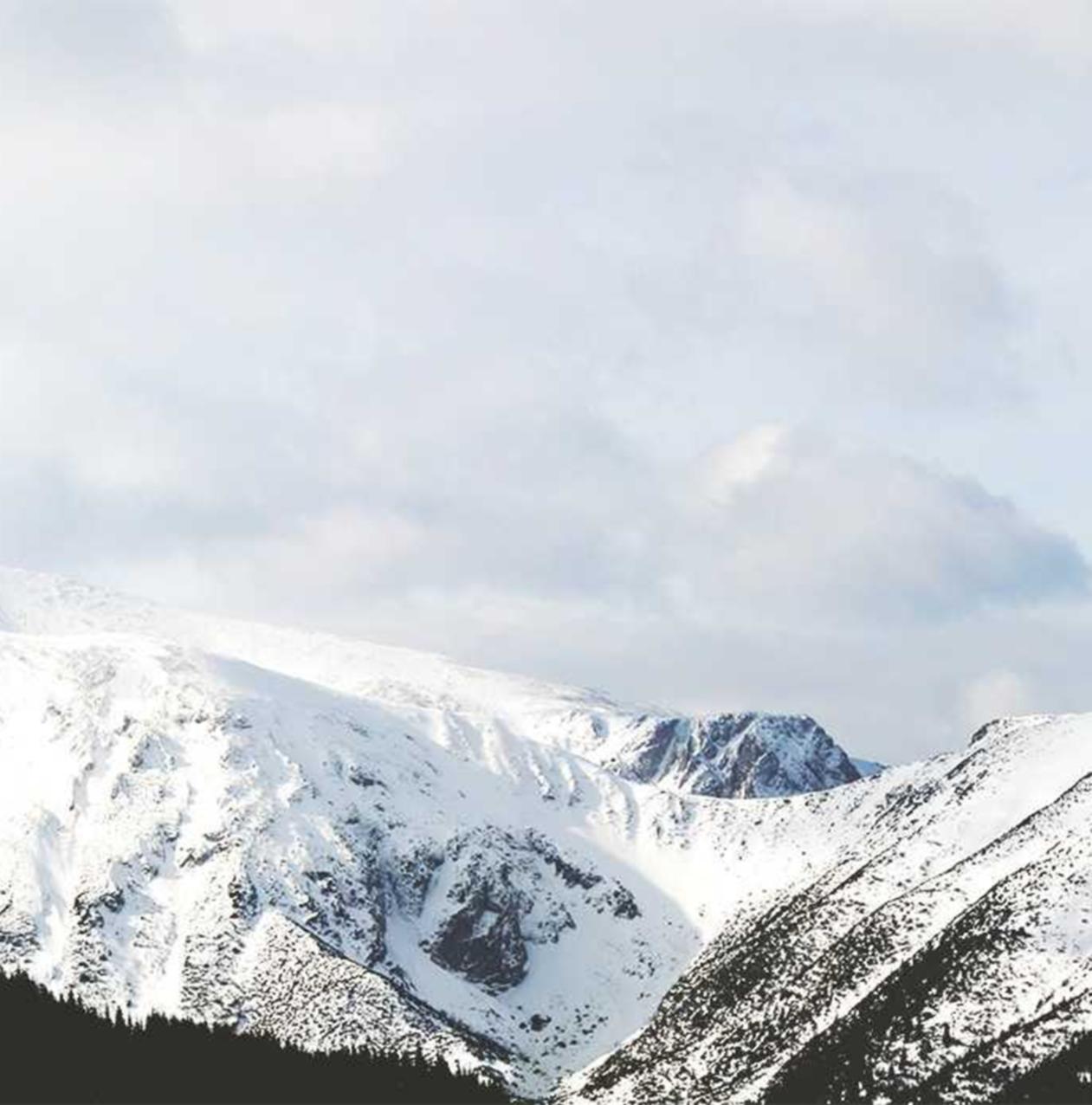 香烟是否带来了社交影响？