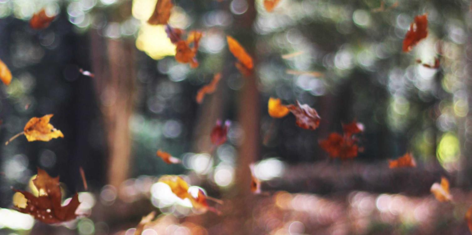 快手实名账号：流量卡更便宜？价格比较全盘分析