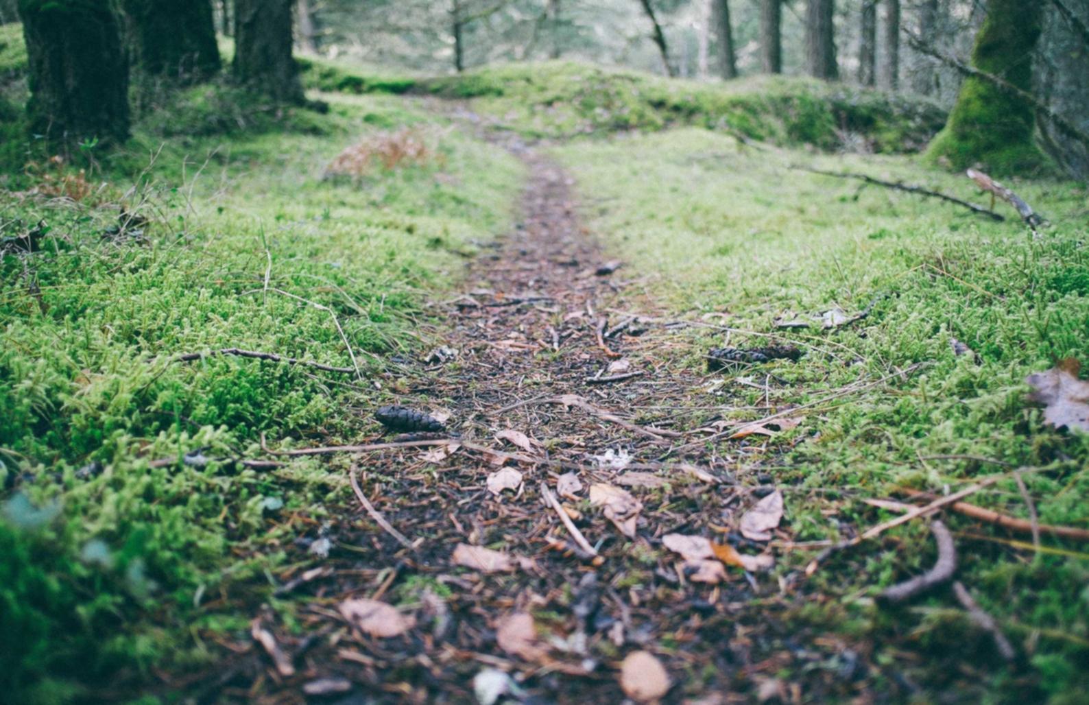 技术支持辅助的危害有哪些？