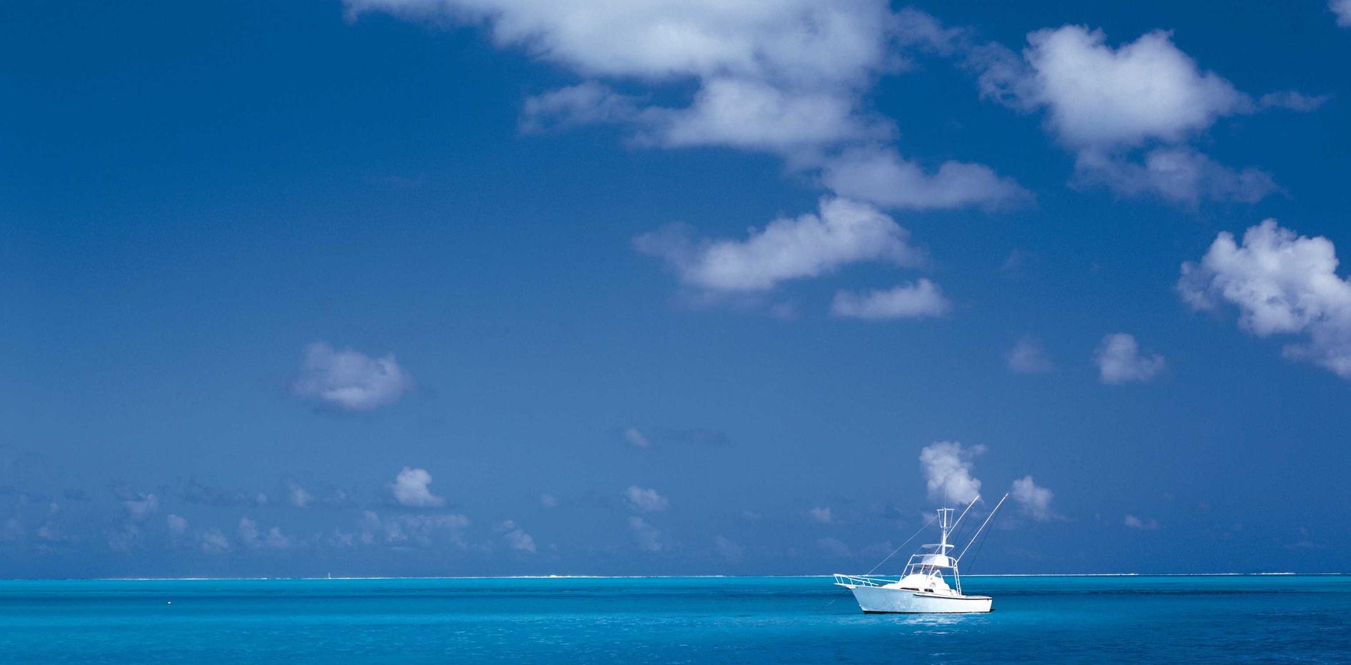 海鸥实名账号：app拍照软件详情下载教程