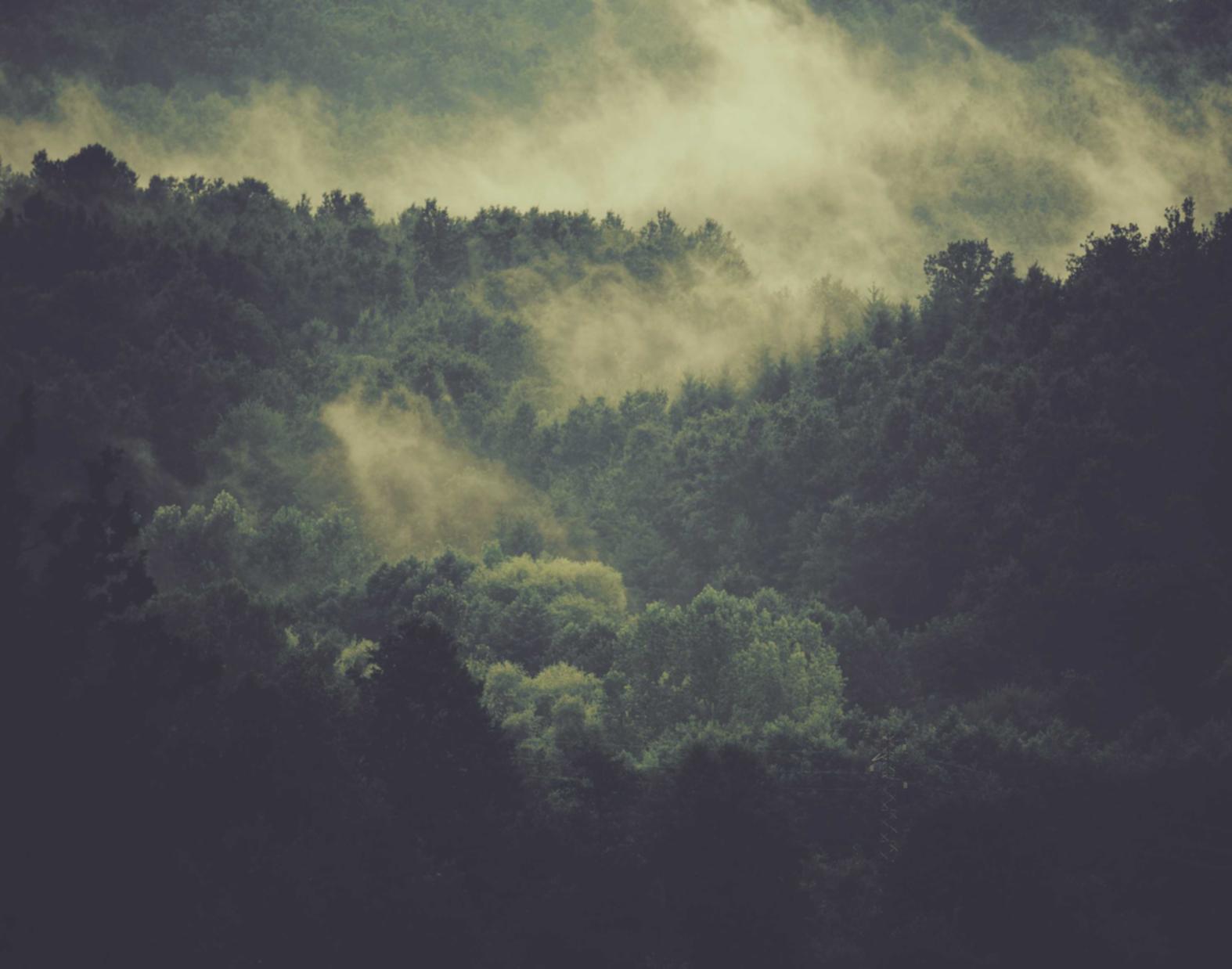 实名流量卡买卖：真我官网注册不了账号吗