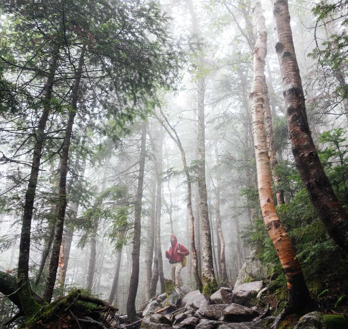解读小黑ddos压力测试平台- 如何代理货款平台