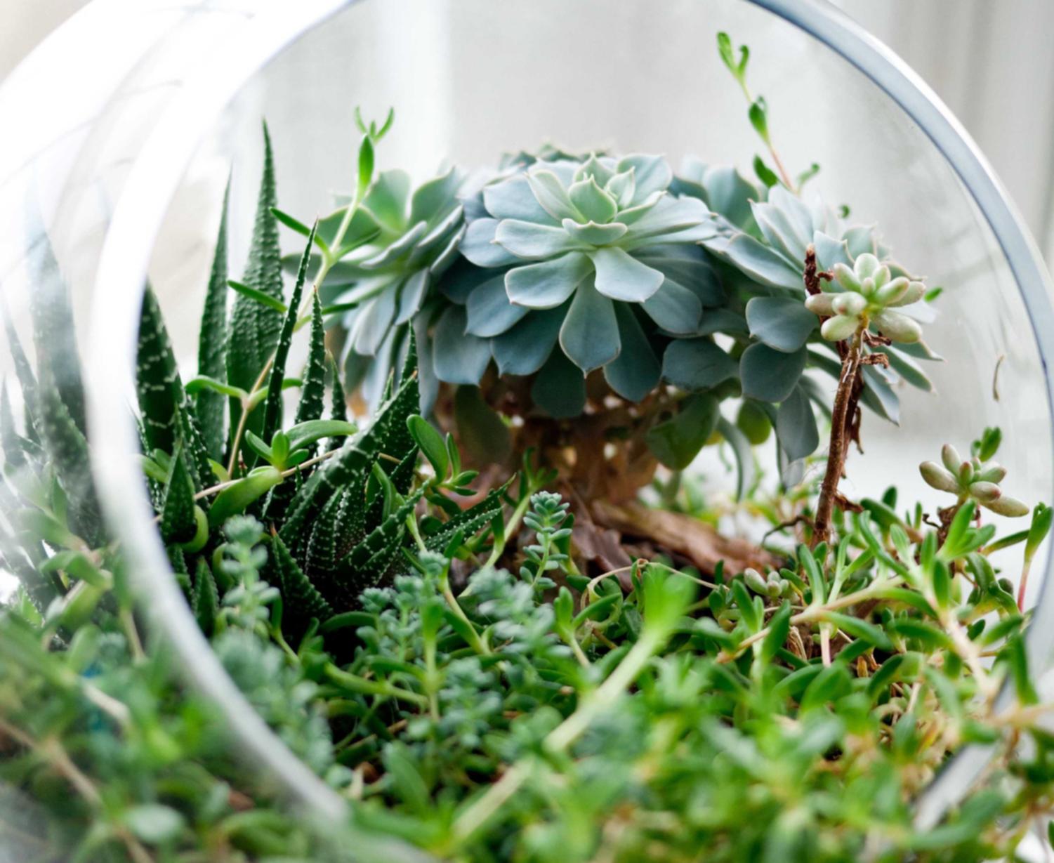 郑州讯捷实名账号：代理入驻广告平台