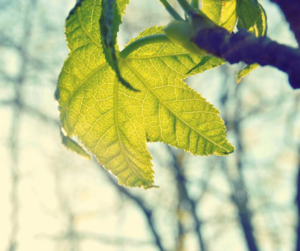 AG亚游哪个平台代理品牌好