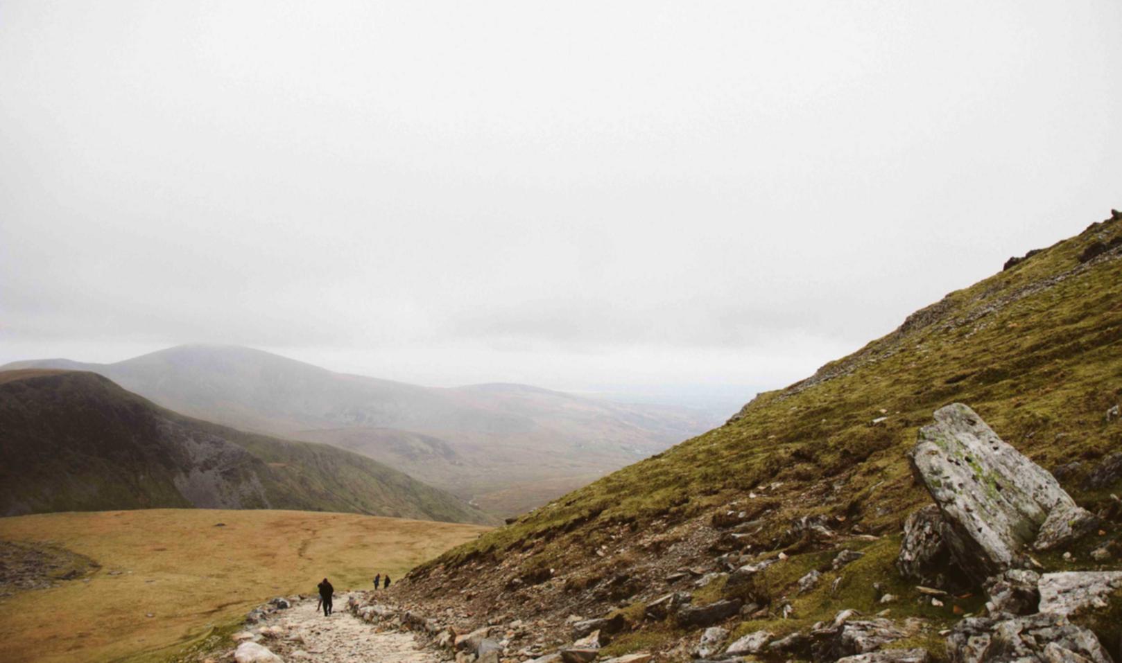 CC在线压力测试|互联网全网营销代理平台