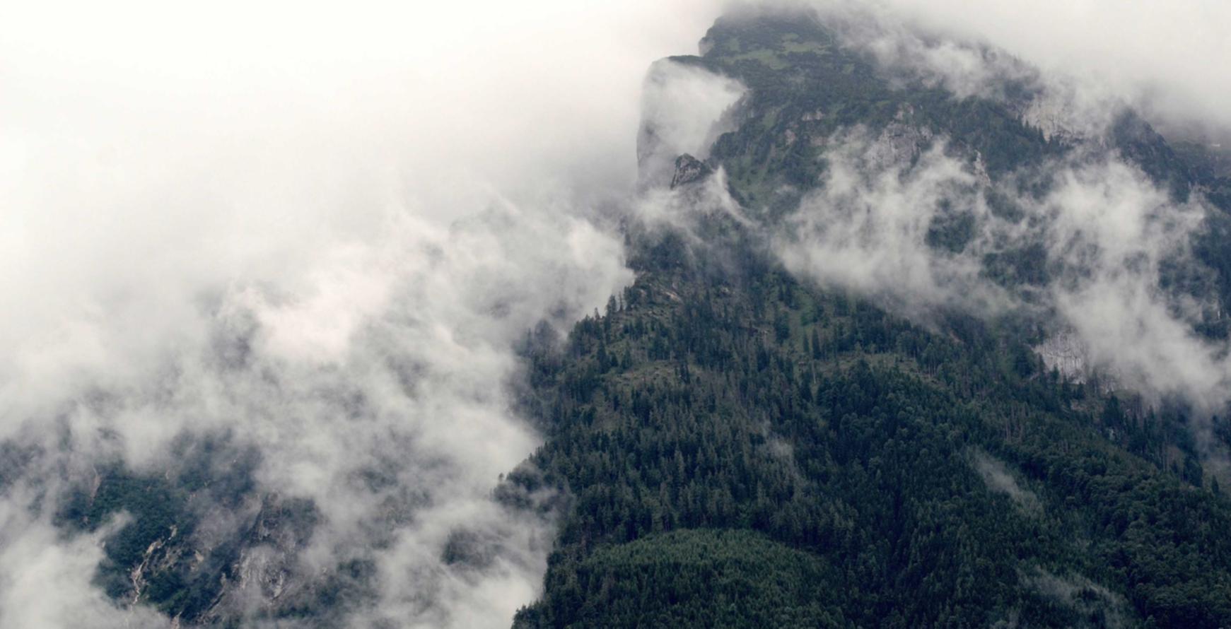 义工服务中心怎么注册账号