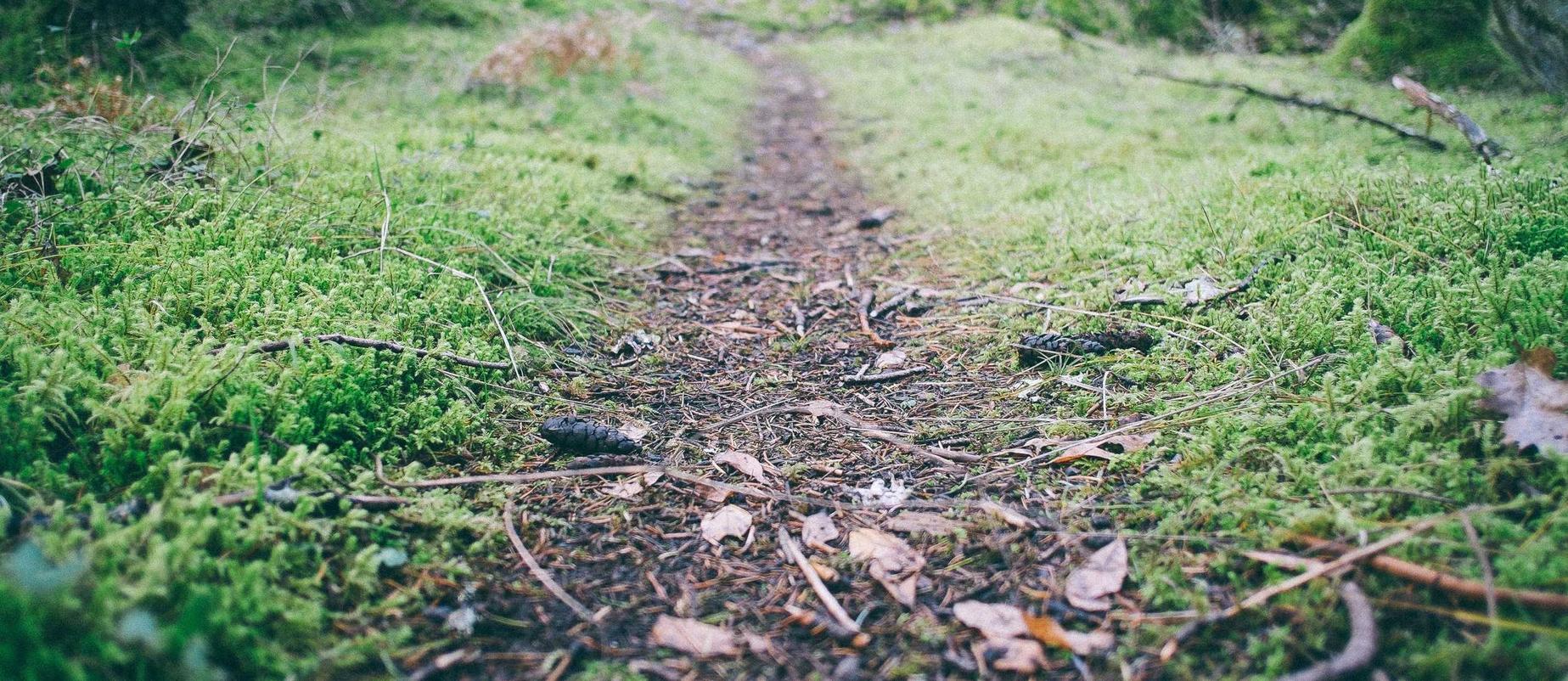 支付宝号买卖：注册章程代理