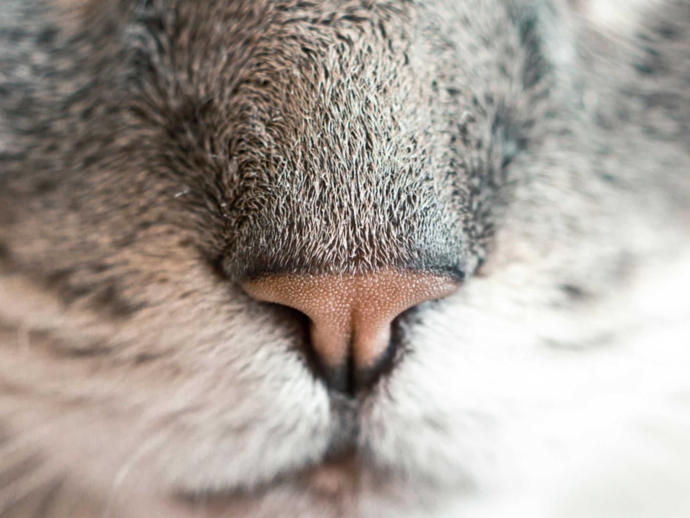 实名抖音号买卖：怎么代理捕鱼平台