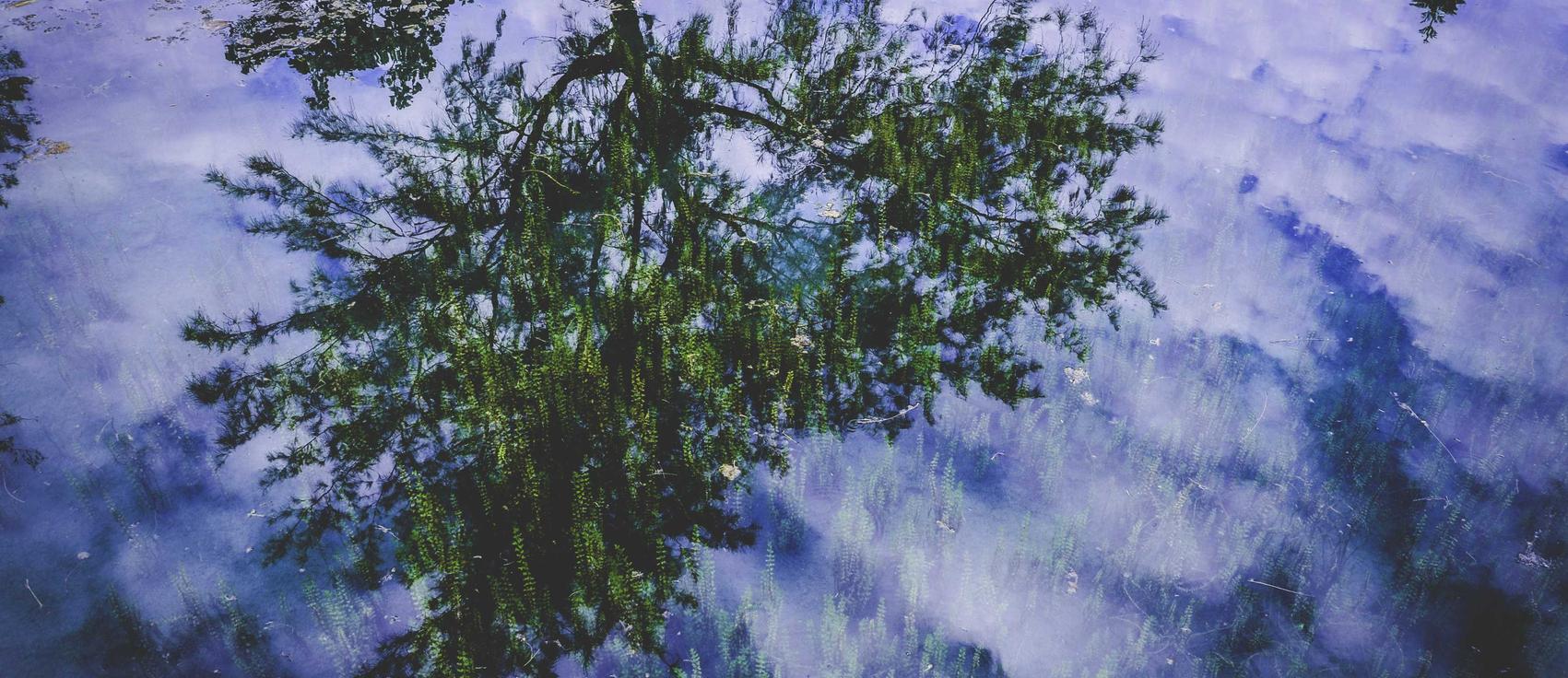 神武4手游:代理运满满平台