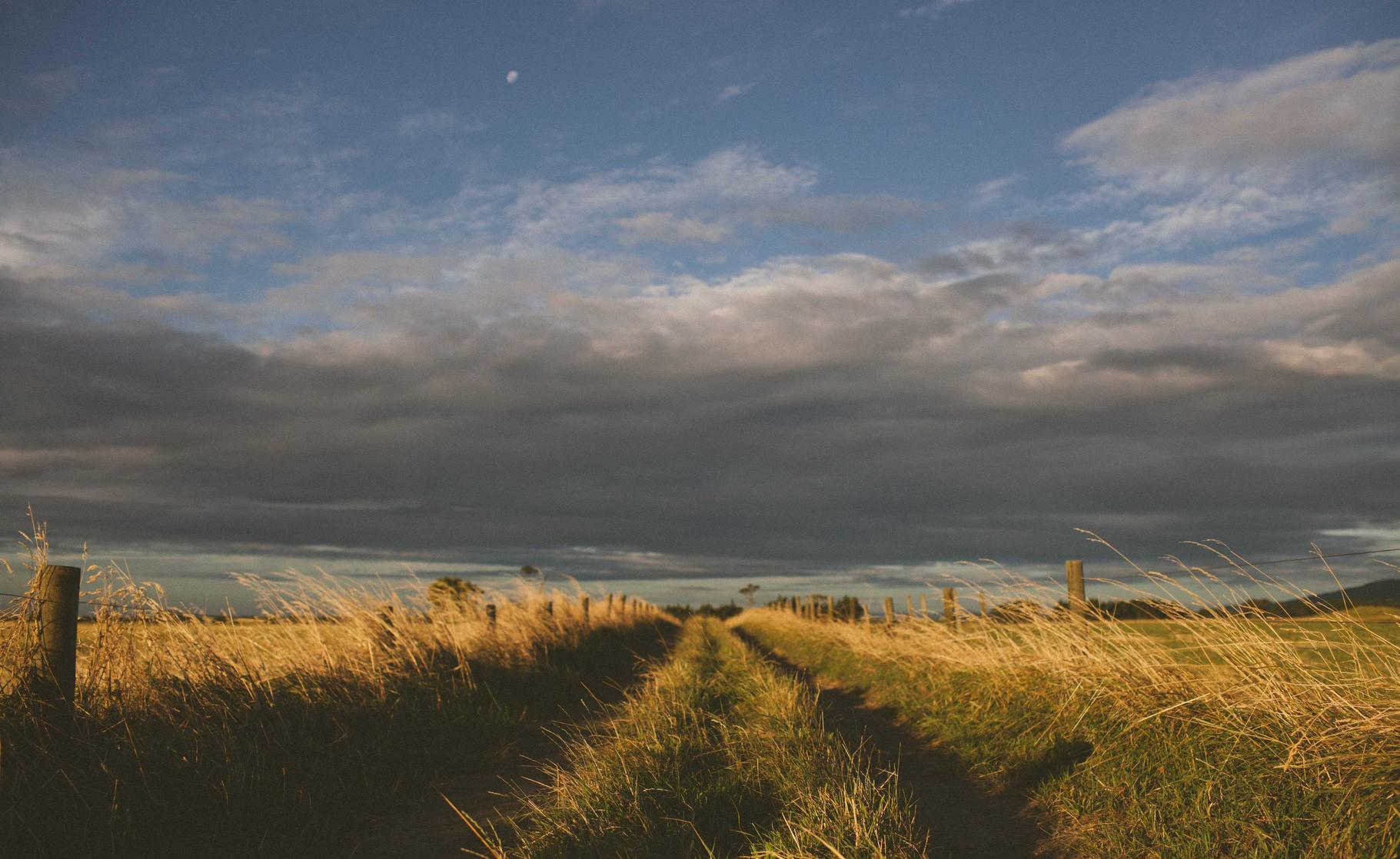 伊对实名账号:青海代理纳税申报平台