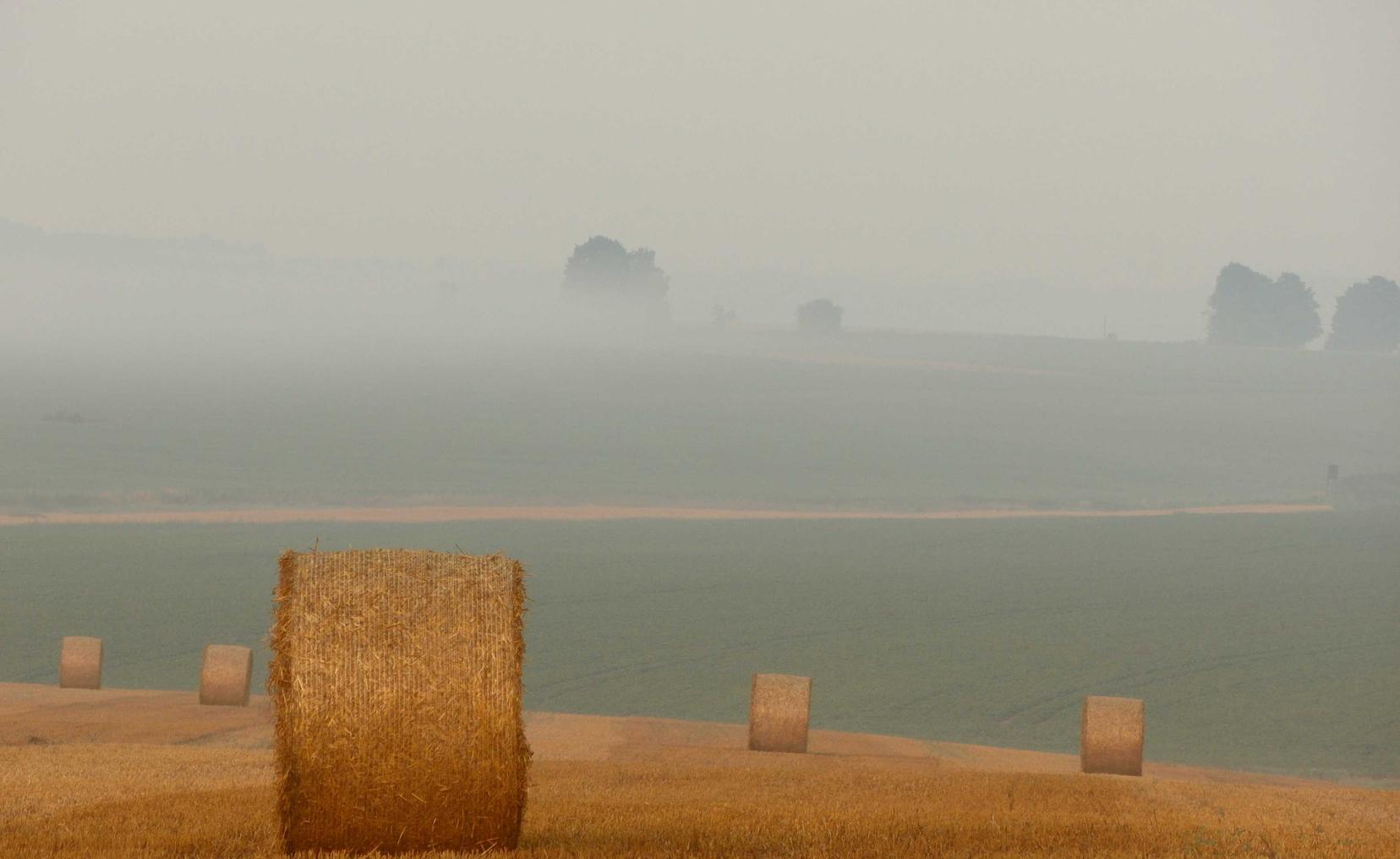 线上炒股开户平台
