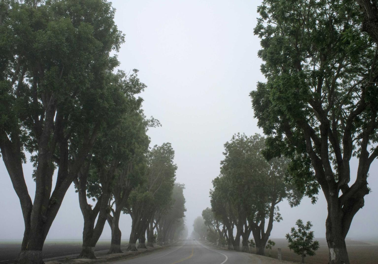 百威中金财富怎么注册账号